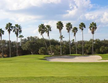 Things To Do Blackstone Golf Course