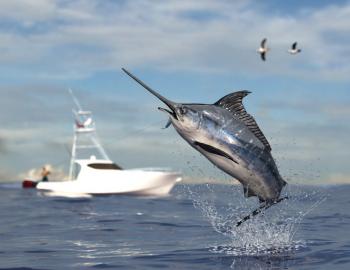 Things To Do Fishing Charters