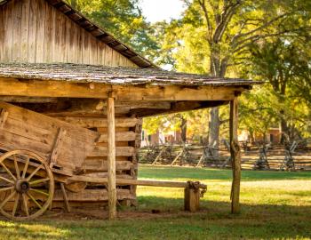 Things To Do Holland Farms