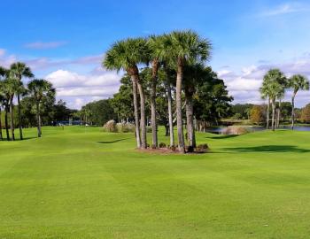 Things To Do Shalimar Pointe Golf Club